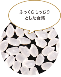 短粒米