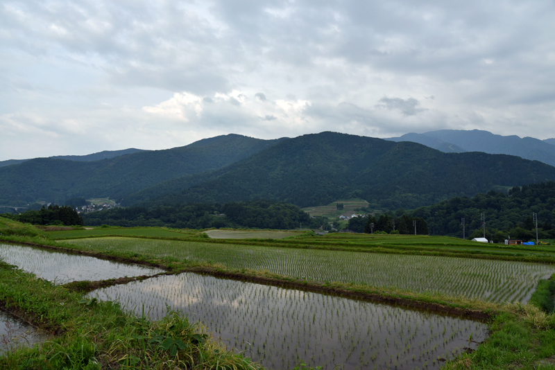 長野米 飯山「悠多喜米」生産向上対策会議