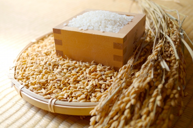 お米の品種は何種類ぐらいあるの？（令和元年産）