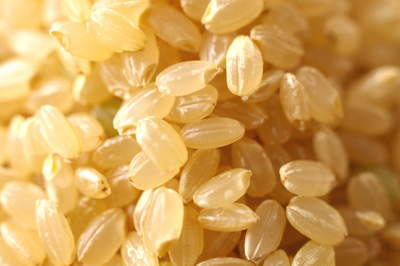 お米の栄養（微量栄養素）