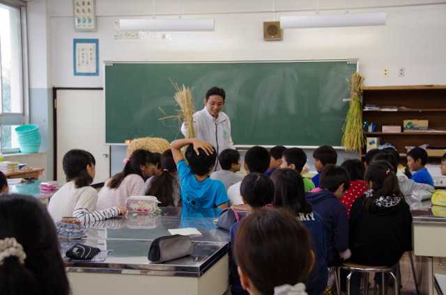 収穫後の稲（ごはんパワー教室2013）