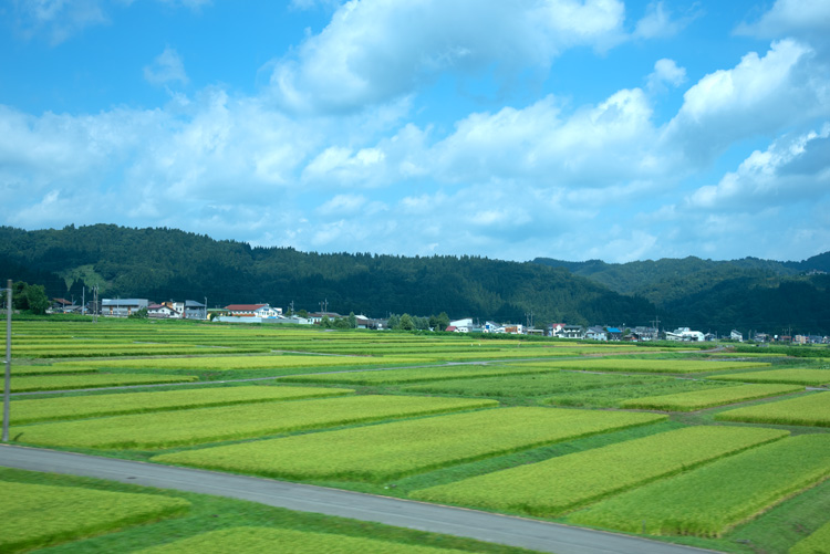 佐渡「朱鷺と暮らす郷」意見交換会