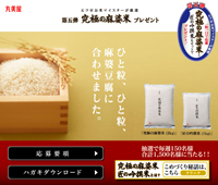 麻婆豆腐の素　第五弾キャンペーン　丸美屋 「究極の麻婆米」プレゼント