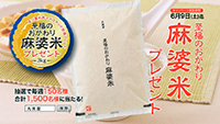 麻婆豆腐の素 キャンペーン 丸美屋 「至福のおかわり麻婆米3kg」プレゼント