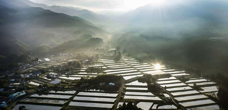 熊本県水上村産米ブランディング講演会